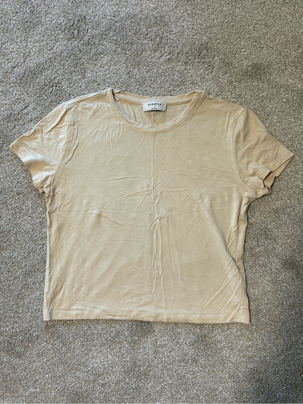 Aritzia Babaton Tee